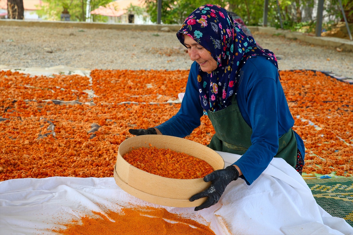 Uşak’ta kadınlar 2017’de tescillenen tarhanayı imeceyle üretip 4 kooperatifte satıyor